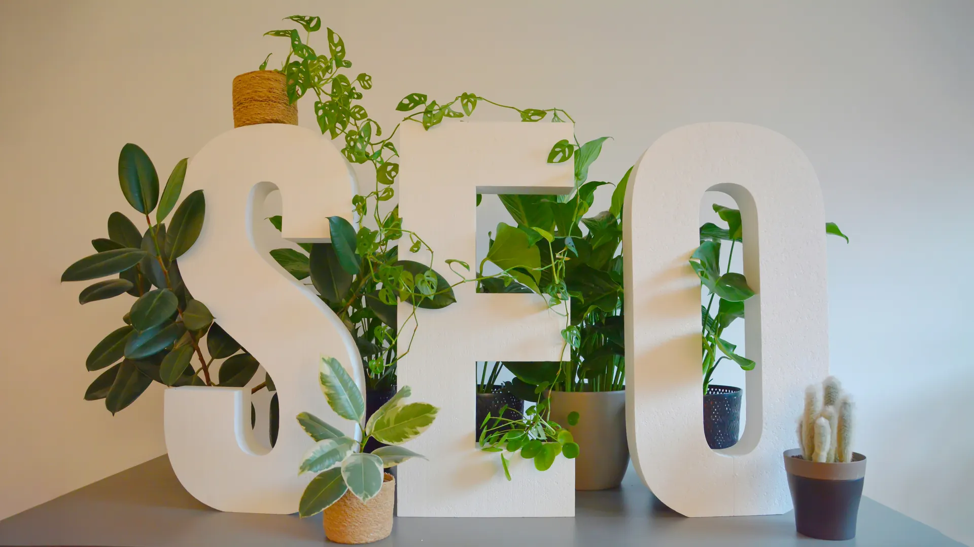 Large SEO letters surrounded by plants